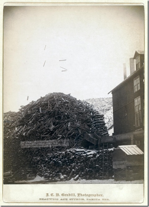 Title: Wood shooting in the air, De Smet Mill, Center City, Dak.
Large pile of timber next to a building. 1888.
Repository: Library of Congress Prints and Photographs Division Washington, D.C. 20540