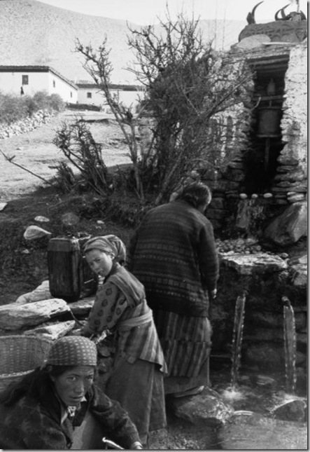 clip_image004 clip_image004