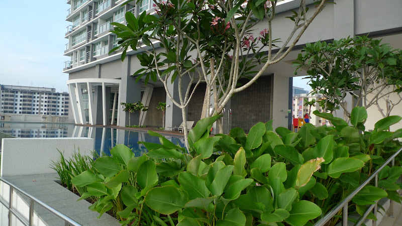 meet la teste de buch