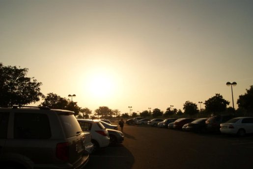 Beautiful Photography by Rahul Johnson