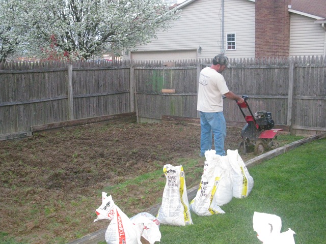 [garden and sunrise 046[7].jpg]