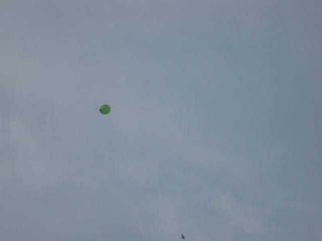 [birthday and sleepover 139[3].jpg]