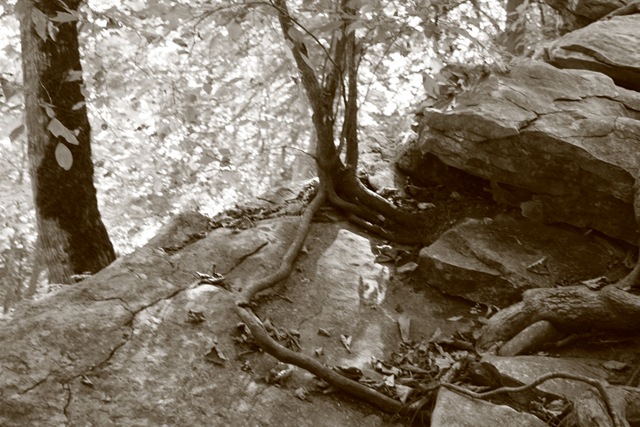 [carter caves and lexington 240[5].jpg]