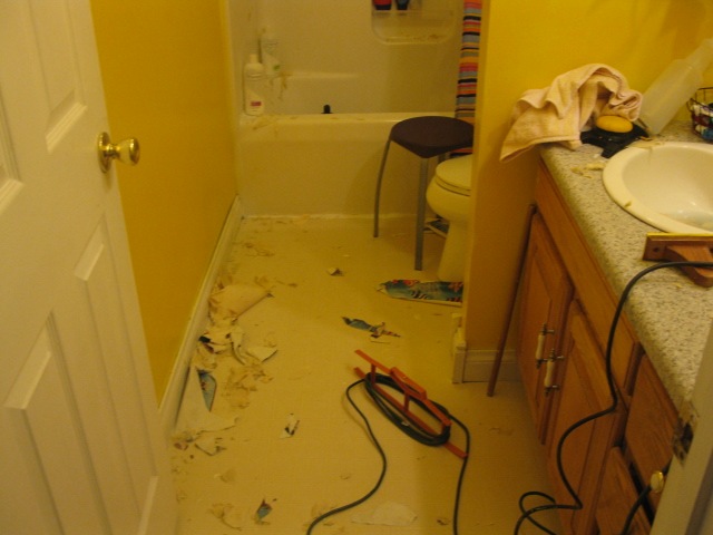 [lots of stuff 389[3].jpg]