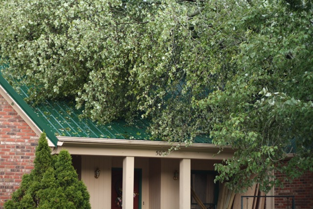 [august storm 2010 0015_resize[4].jpg]