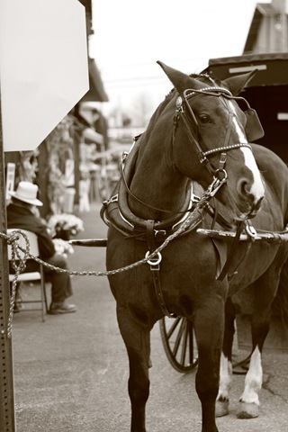 [Copy of october 2010 112_resize[6].jpg]