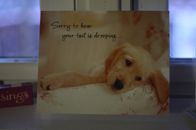 [january last day 006_resize[4].jpg]