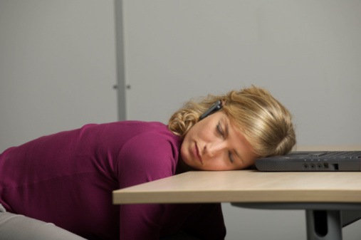[nap at work[4].jpg]