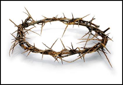 Crown-of-Thorns