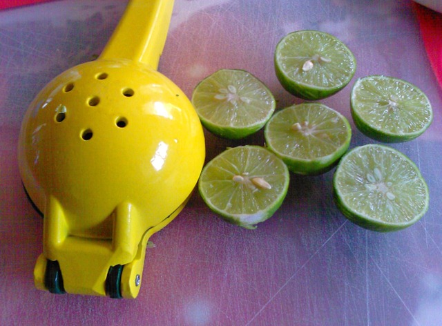 [KeyLimePie0073.jpg]