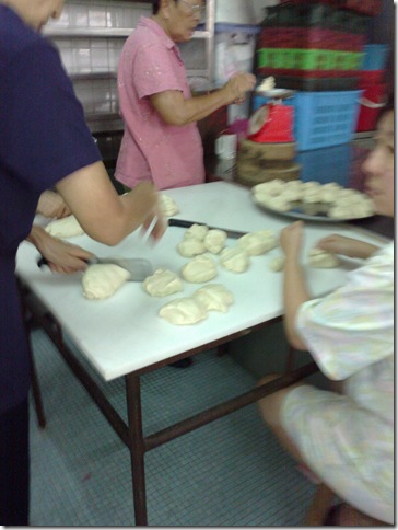 20101006118