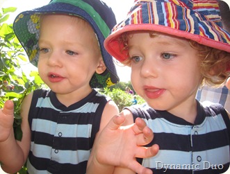 gnr picking blueberries