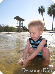 gus finds a shell, he calls it a snail! (7)