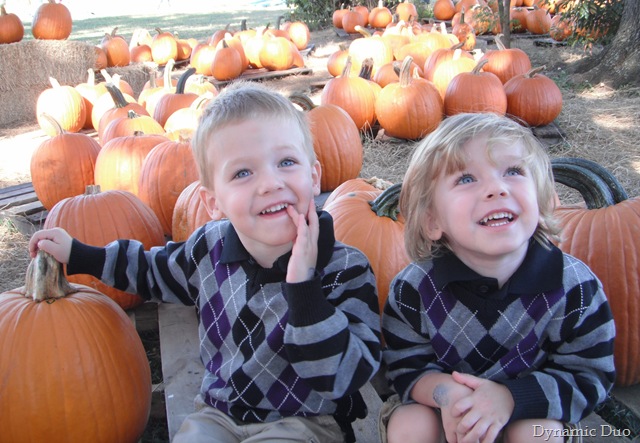 [pumpkins[4].jpg]