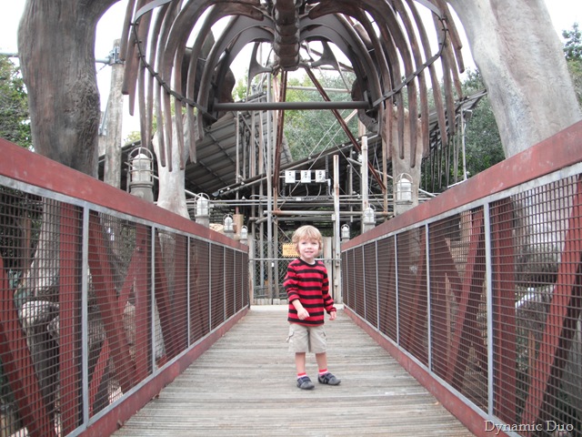[dino bridge[4].jpg]