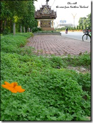 20090509_001
