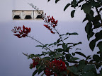 P1010006.jpg P1010006.jpg