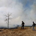 Crab Tree Farm burn IMG_4483.jpg