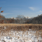 BO1_0017.JPG