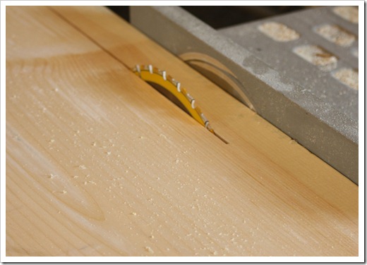 Cutting Wood on a Rip Saw Cutting Wood on a Rip Saw