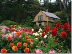 floweryard