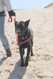 And on the beach
