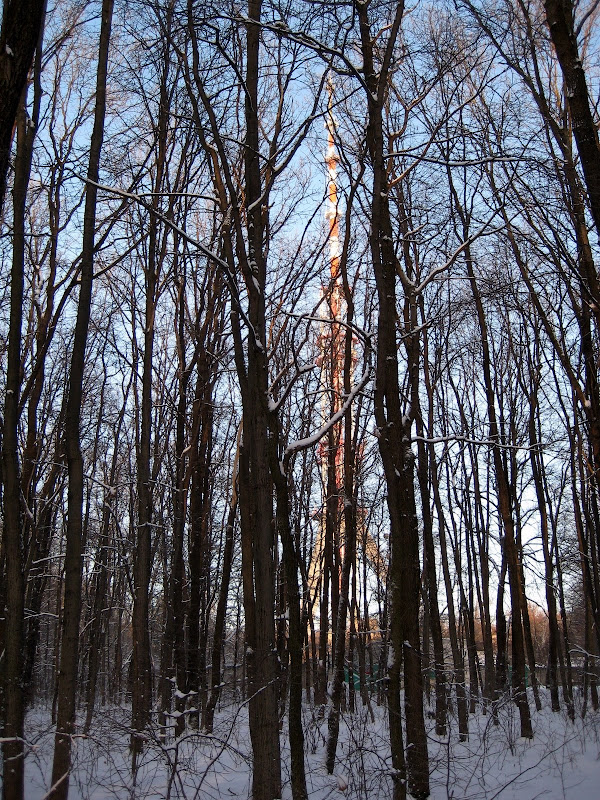 IMG_3697.JPG