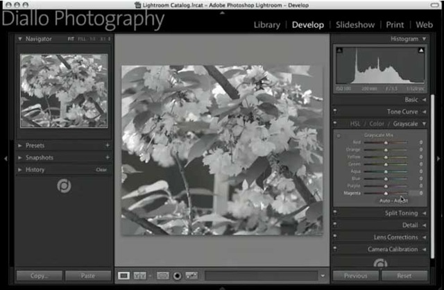 [LightroomConverttoBW5.jpg]