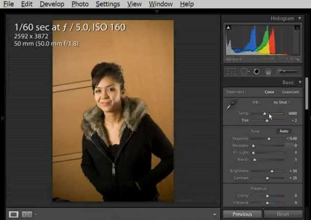 [Lightroom2Pt7BatchOperations6.jpg]