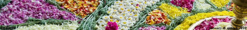 India banner
