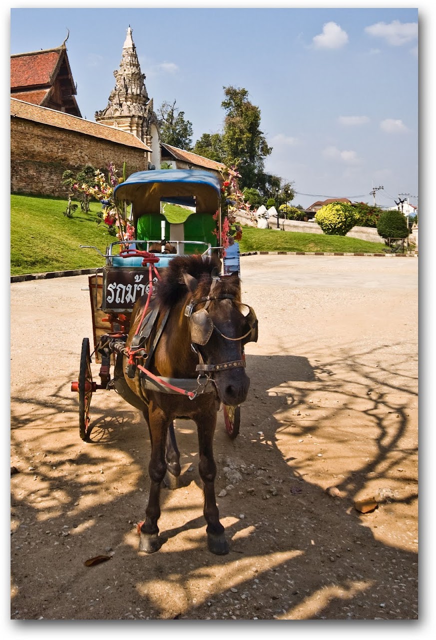Horse drawn carriage in front of Wat Phra That Lampang Luang
