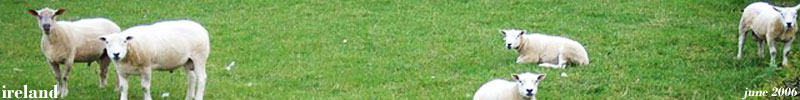 Banner Banner