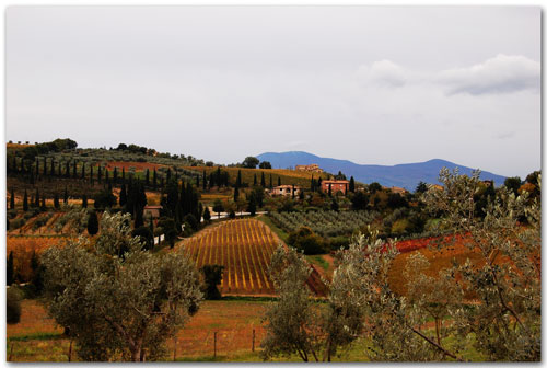 Val d'Orcia