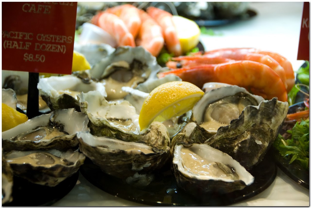 Oysters at Sydney Fish Market