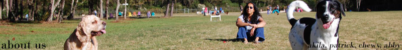 Banner Banner
