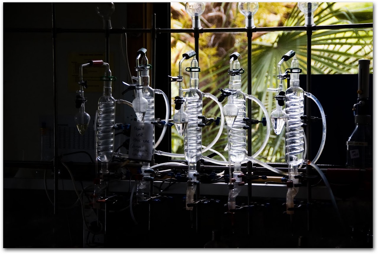 Villa Maria wine making