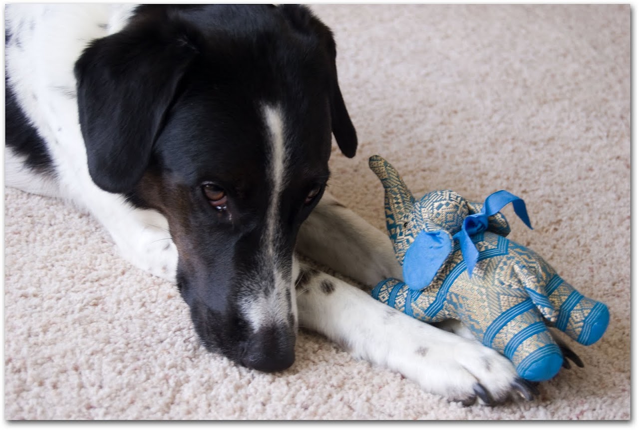 Abby with elephant toy