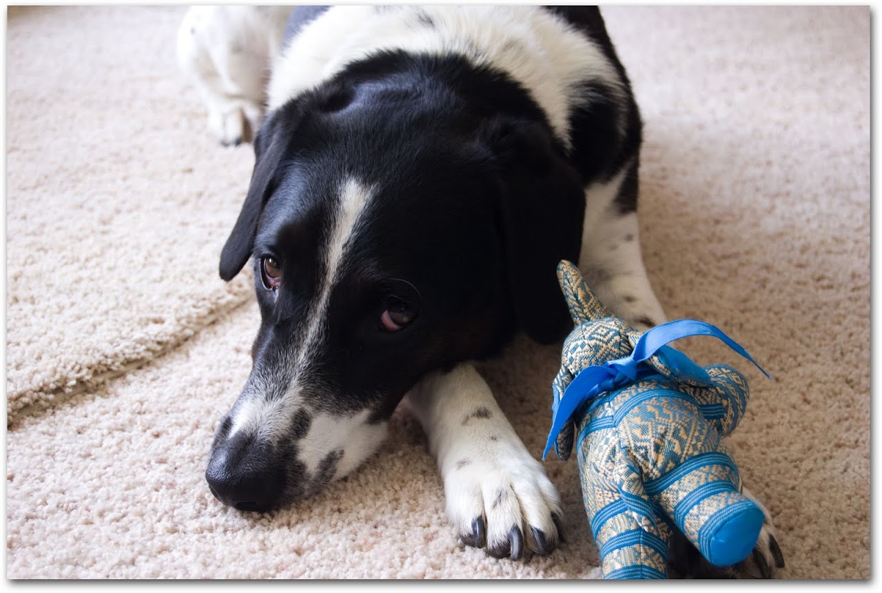 Abby with her elephant toy