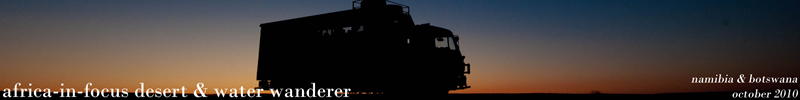 Banner Banner