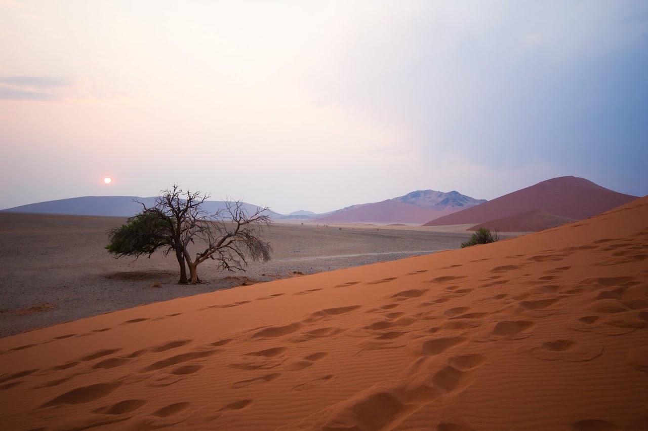 Namib desert