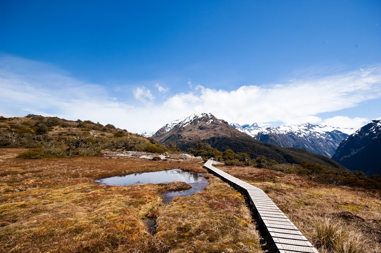Near Milford Sound