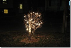 IMG_2337 IMG_2337