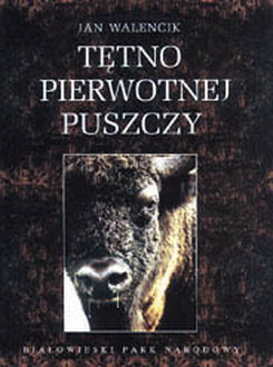 Tętno Pierwotnej Puszczy (1995) PL.TVRip.XviD Tętno Pierwotnej Puszczy (1995) PL.TVRip.XviD