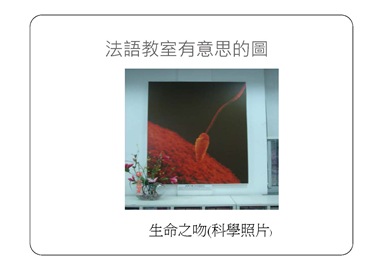 上海交大簡報-王月玲_頁面_09