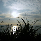 DSCN0147.JPG
