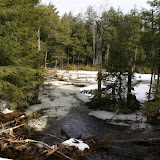 DSC05513.JPG
