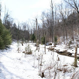 DSC05514.JPG
