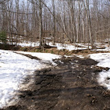 DSC05490.JPG
