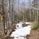 DSC05493.JPG