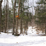 DSC05497.JPG